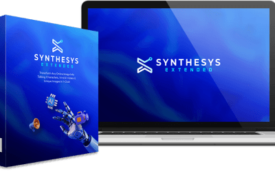 Synthesis Extended Review And Bonuses